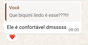Print de conversa com a Rafaela